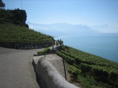 sortie-lavaux-7